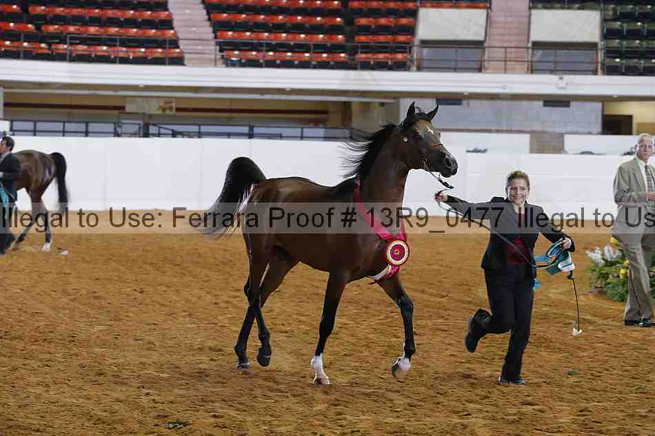 Proof 13r9_0477