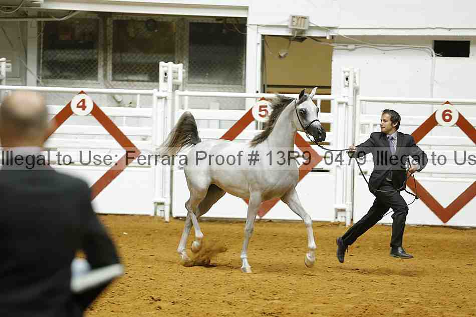 Proof 13r9_0479