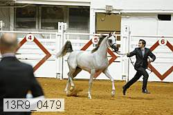 13r9_0479 proof