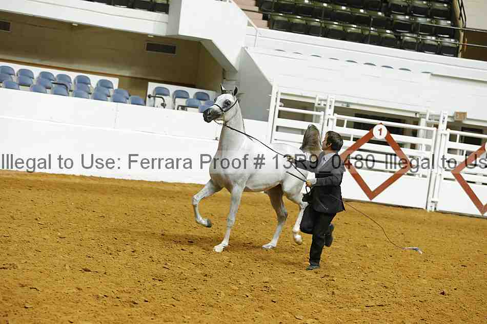 Proof 13r9_0480