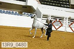 13r9_0480 proof