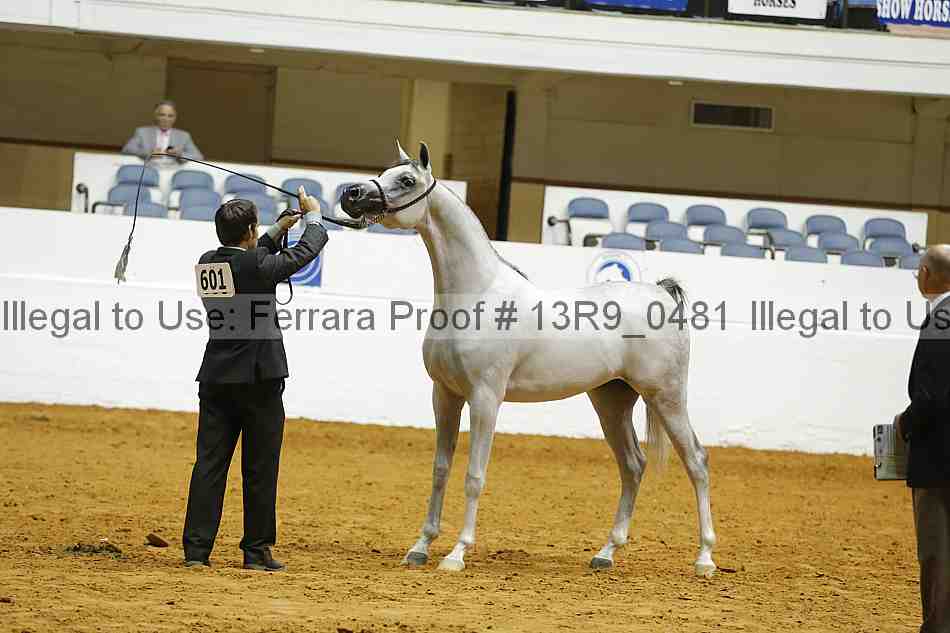 Proof 13r9_0481