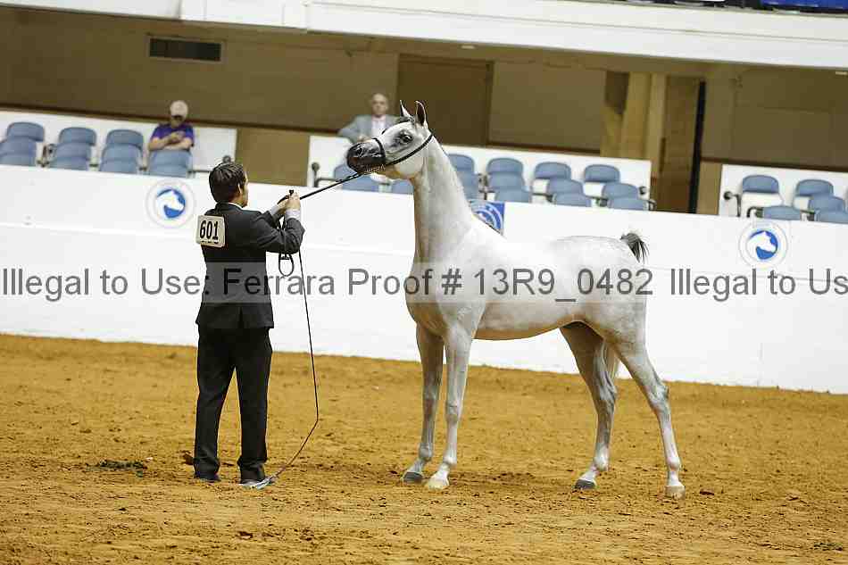 Proof 13r9_0482
