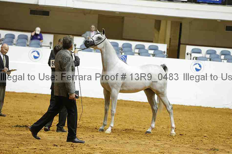 Proof 13r9_0483