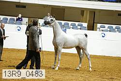 13r9_0483 proof