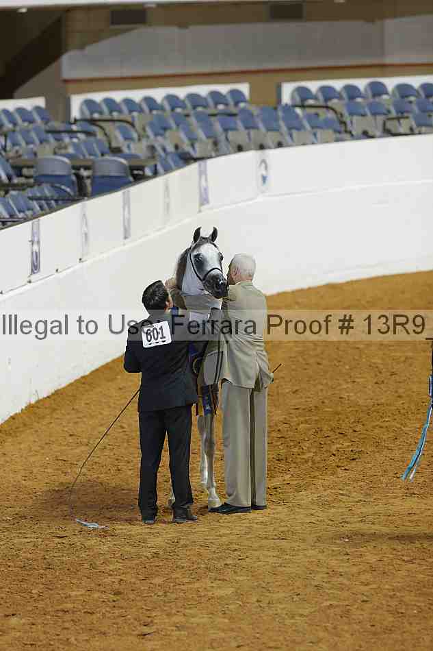 Proof 13r9_0485