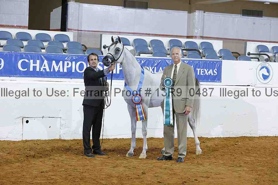 Proof 13r9_0487