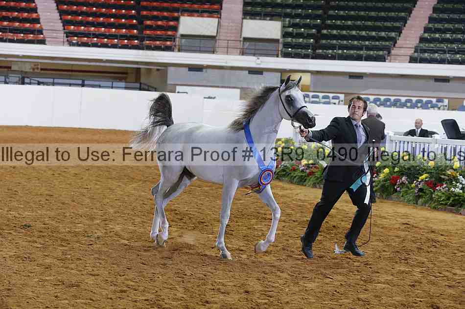 Proof 13r9_0490