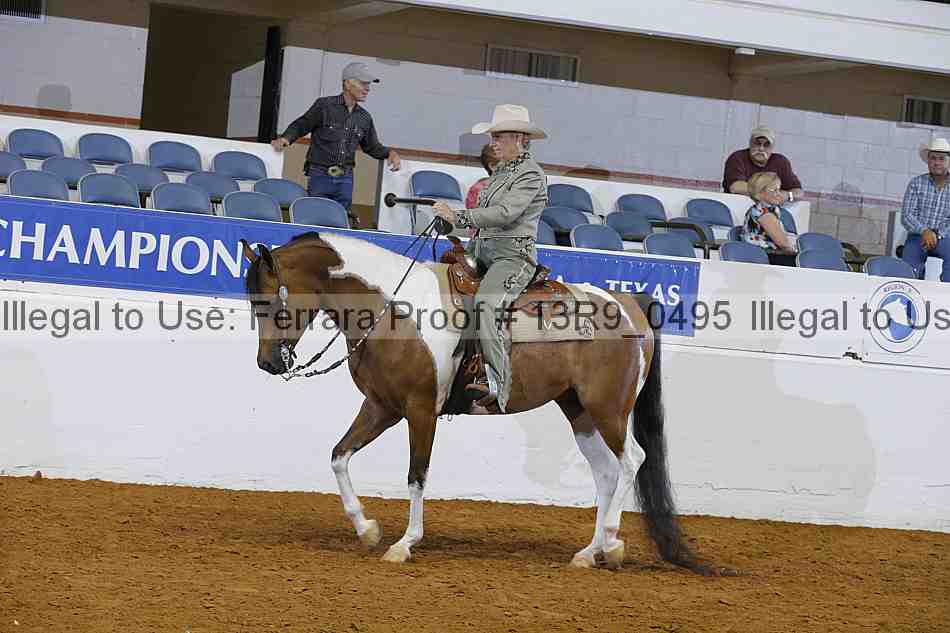 Proof 13r9_0495