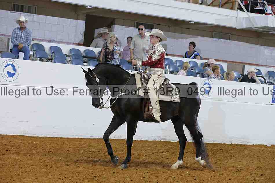 Proof 13r9_0497