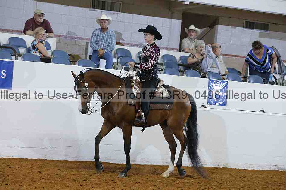 Proof 13r9_0498
