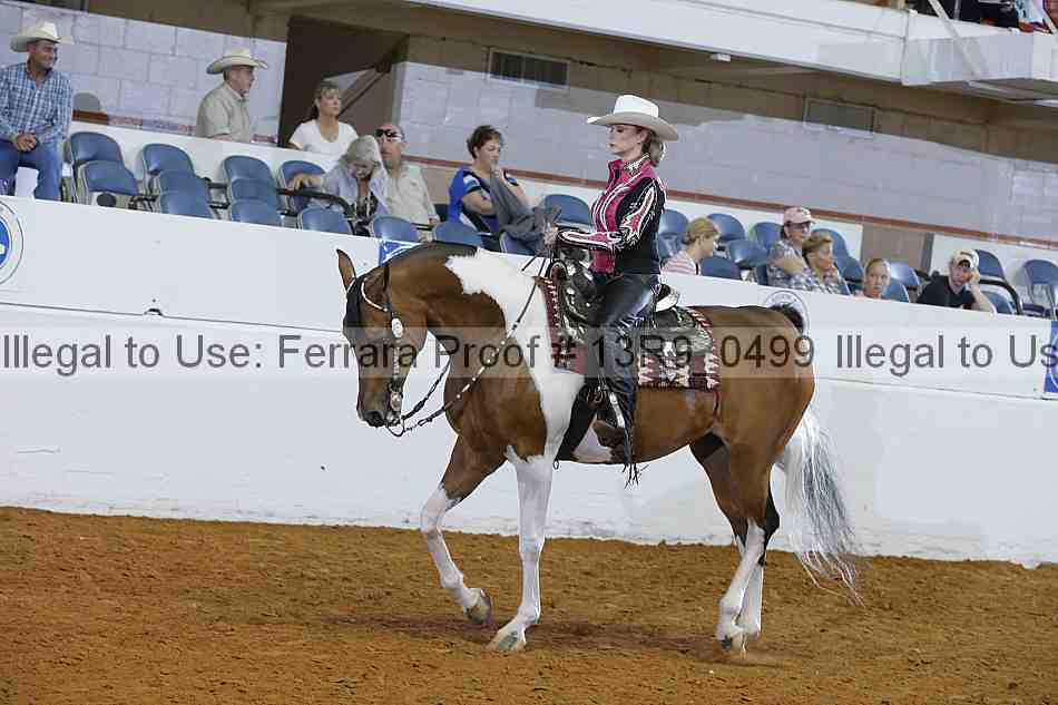 Proof 13r9_0499
