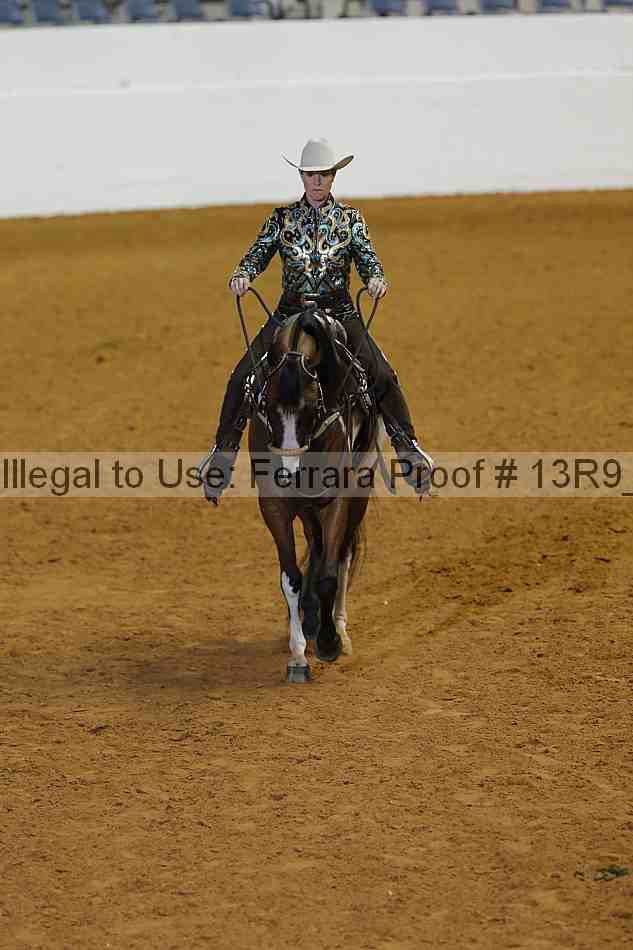 Proof 13r9_0500
