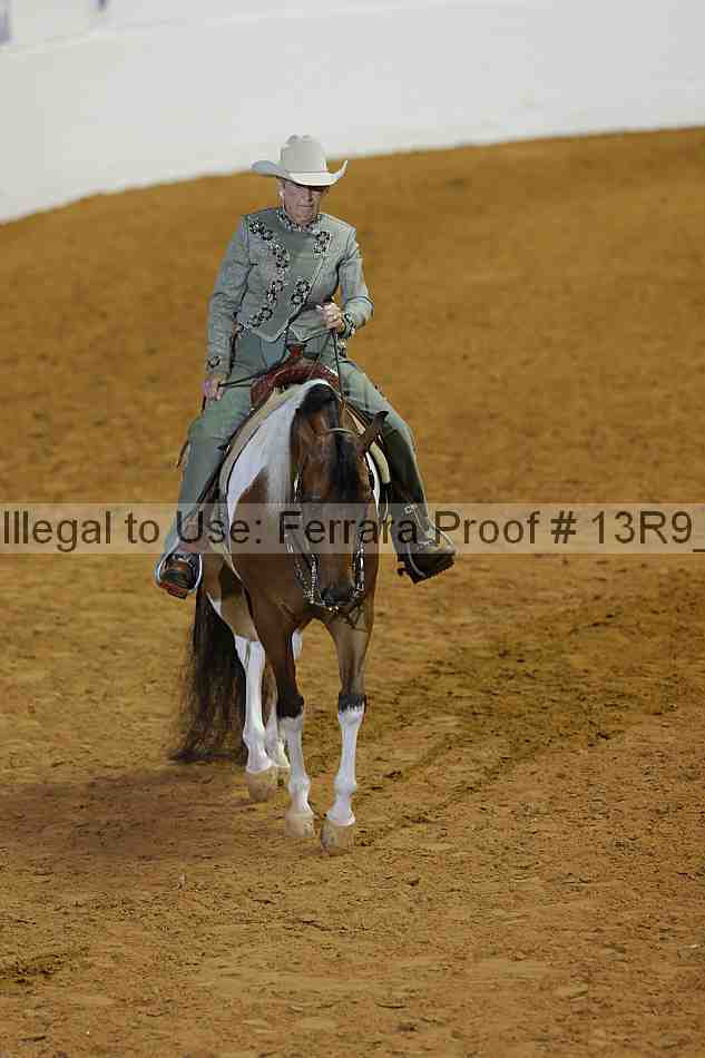 Proof 13r9_0501