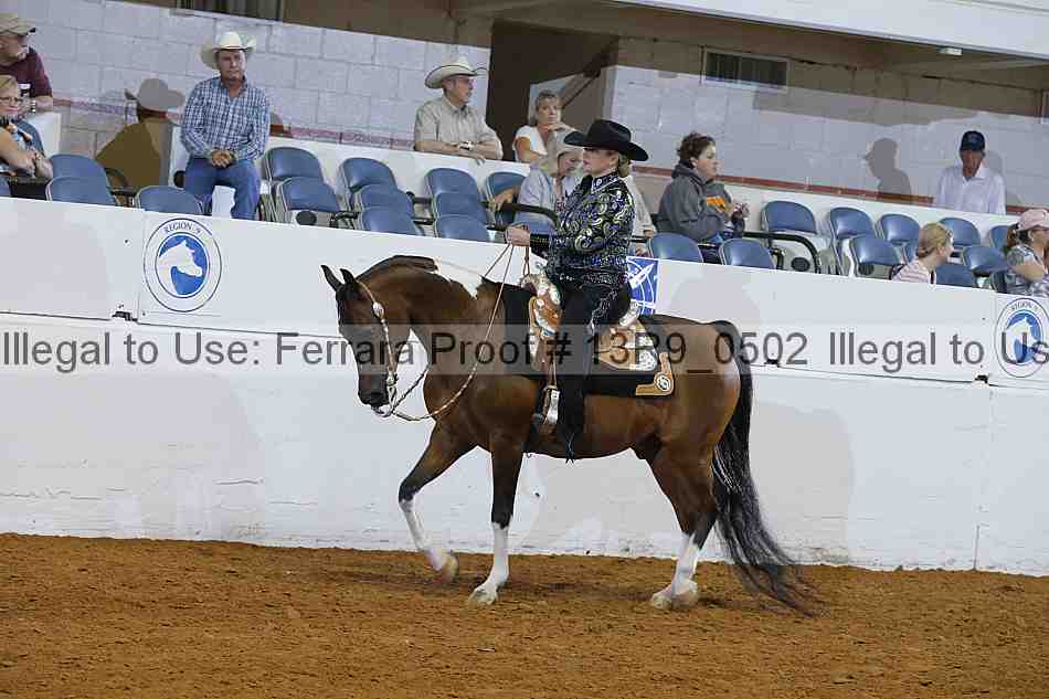 Proof 13r9_0502