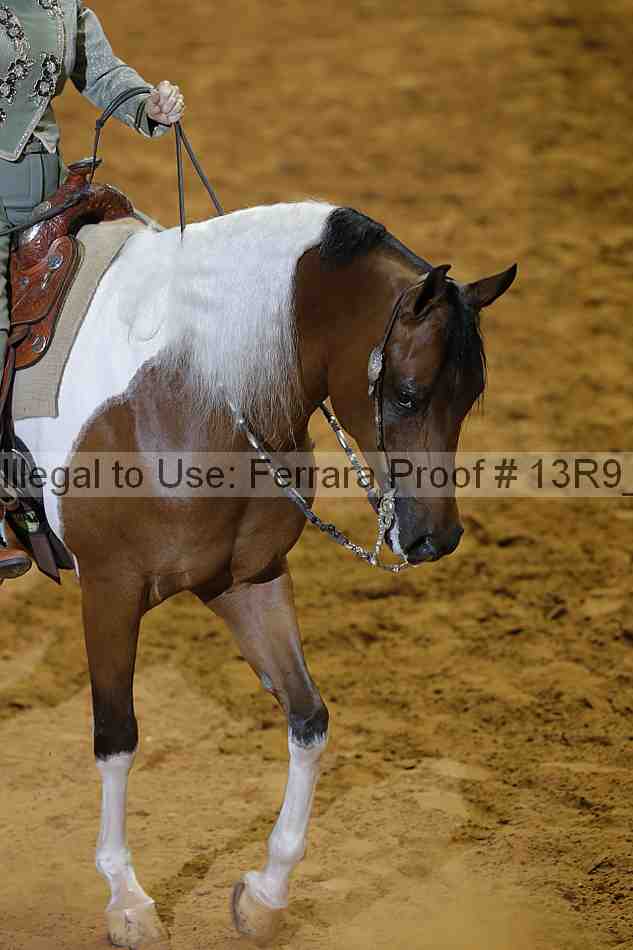 Proof 13r9_0503