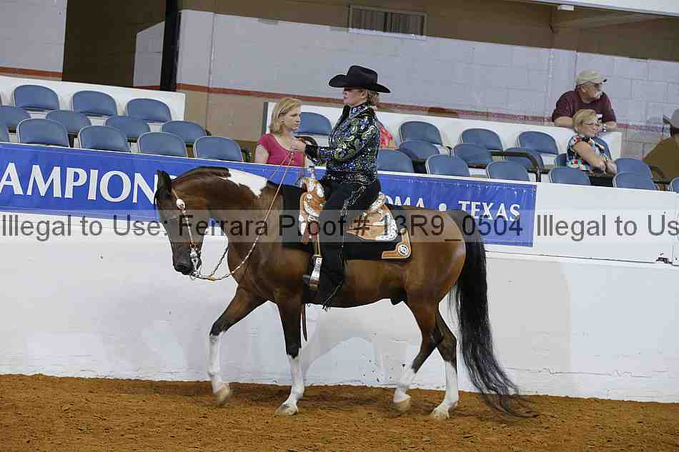 Proof 13r9_0504