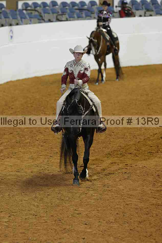 Proof 13r9_0506