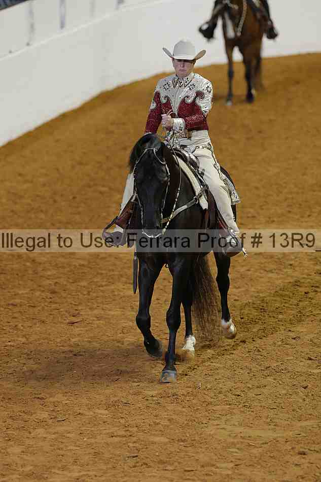Proof 13r9_0508