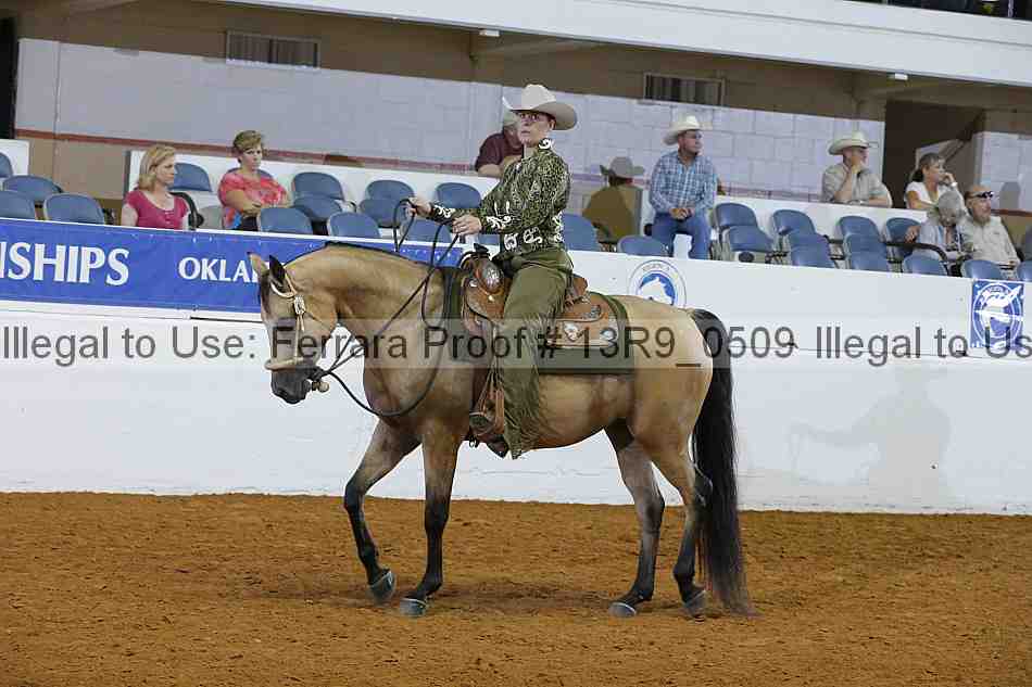 Proof 13r9_0509