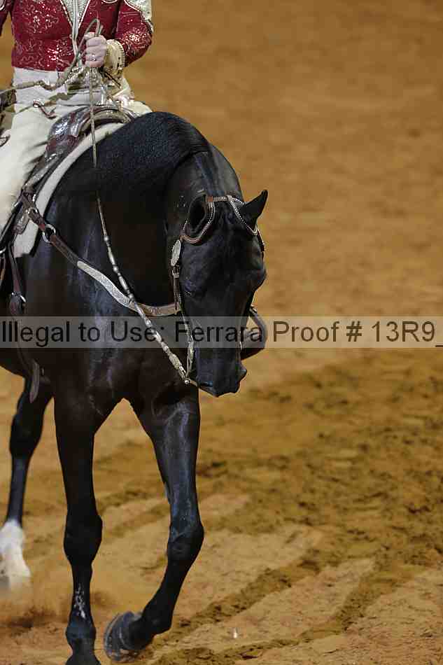 Proof 13r9_0511