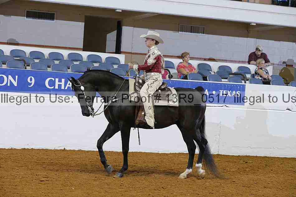 Proof 13r9_0517