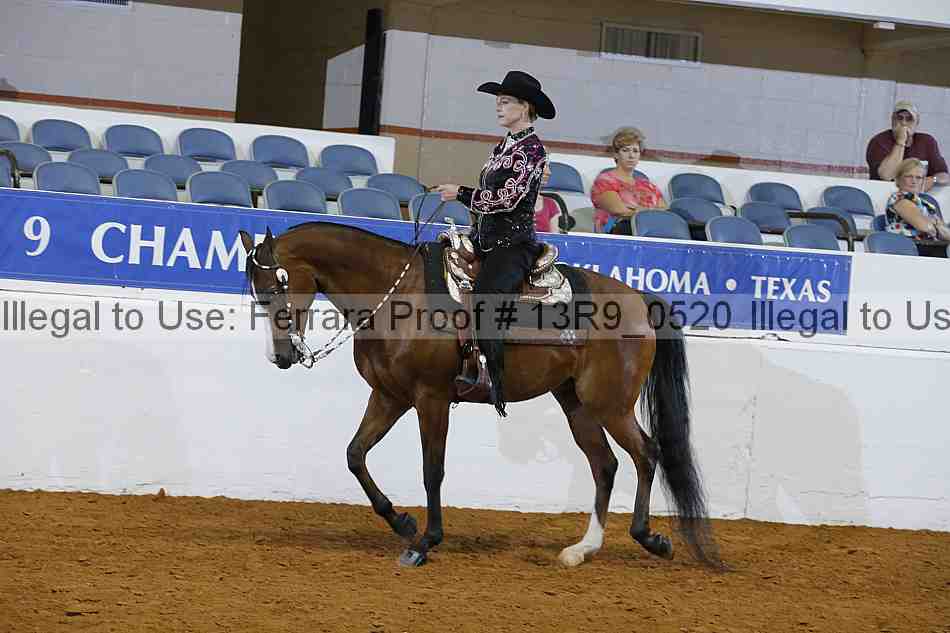 Proof 13r9_0520