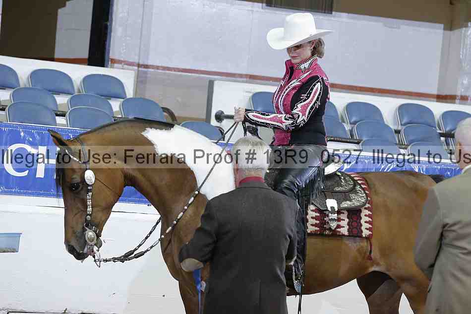 Proof 13r9_0527