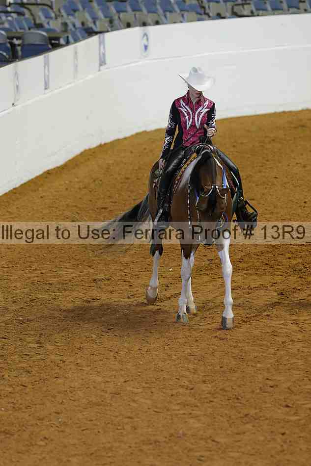 Proof 13r9_0529