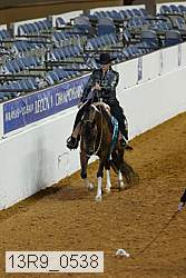 13r9_0538 proof