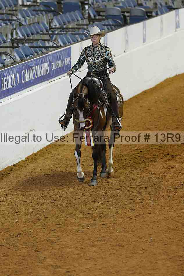 Proof 13r9_0541