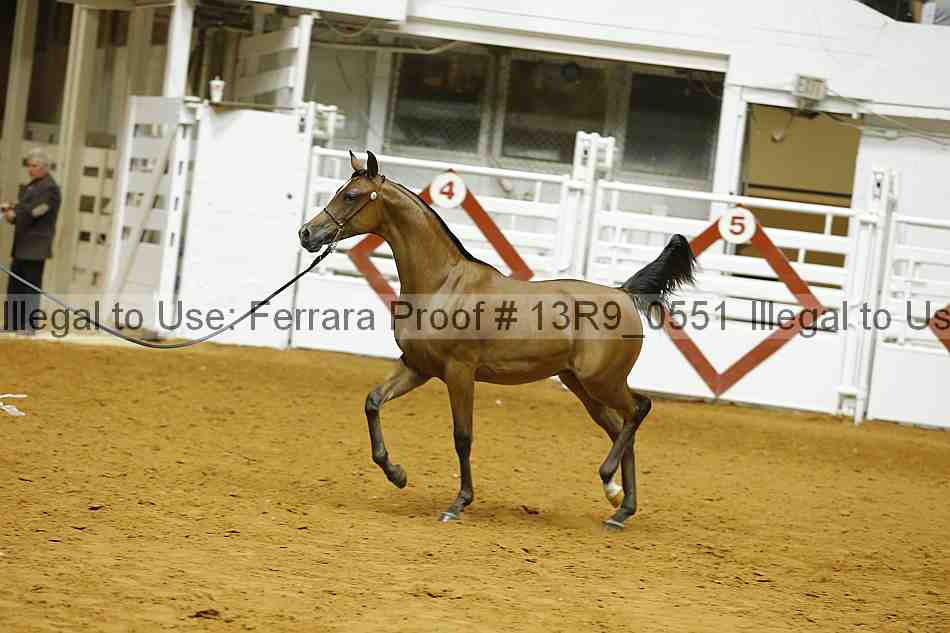 Proof 13r9_0551
