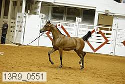 13r9_0551 proof