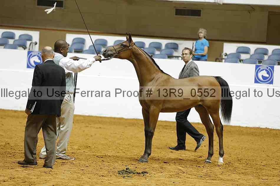 Proof 13r9_0552
