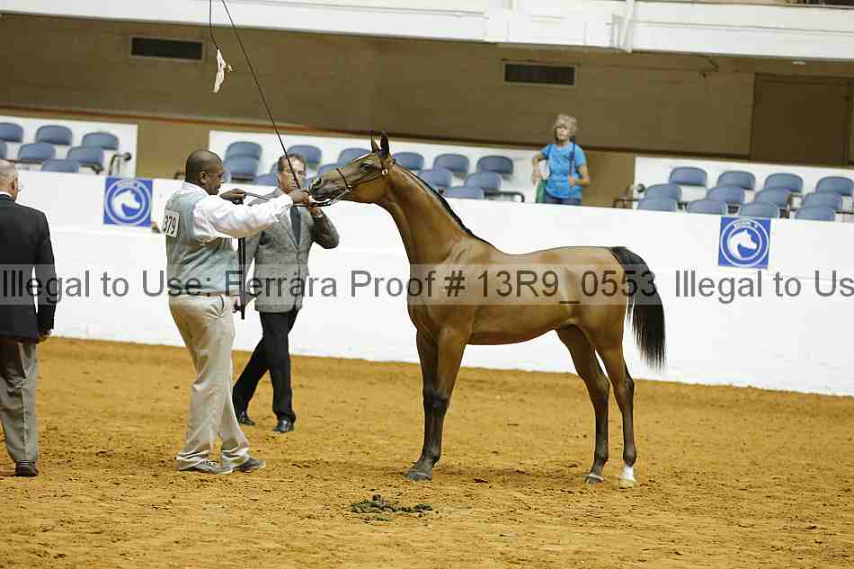 Proof 13r9_0553