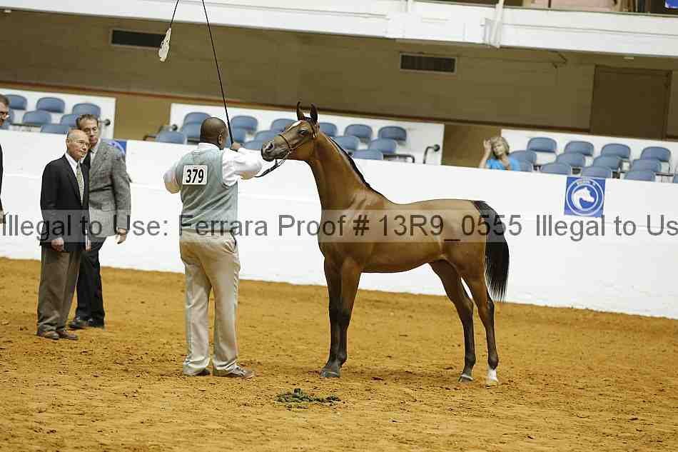 Proof 13r9_0555