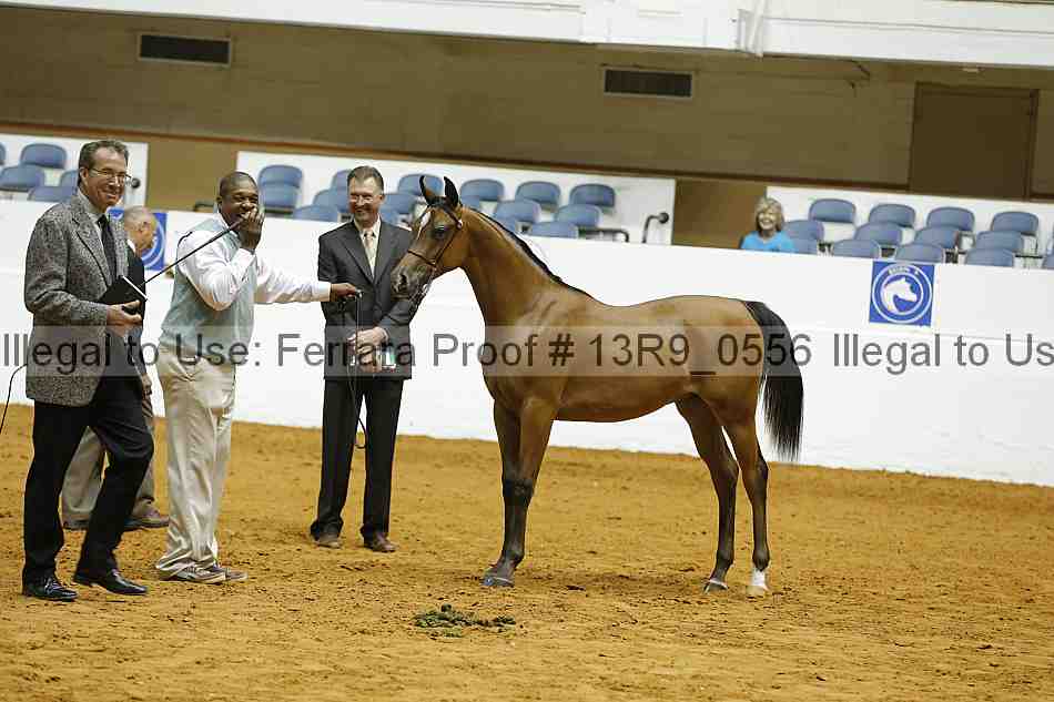 Proof 13r9_0556