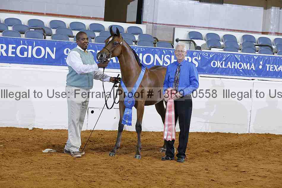Proof 13r9_0558