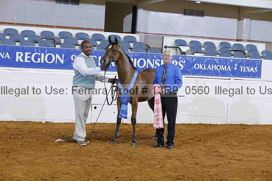 Proof 13r9_0560