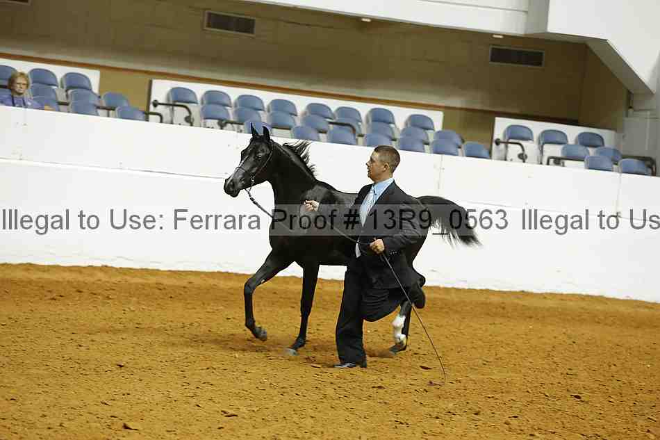 Proof 13r9_0563