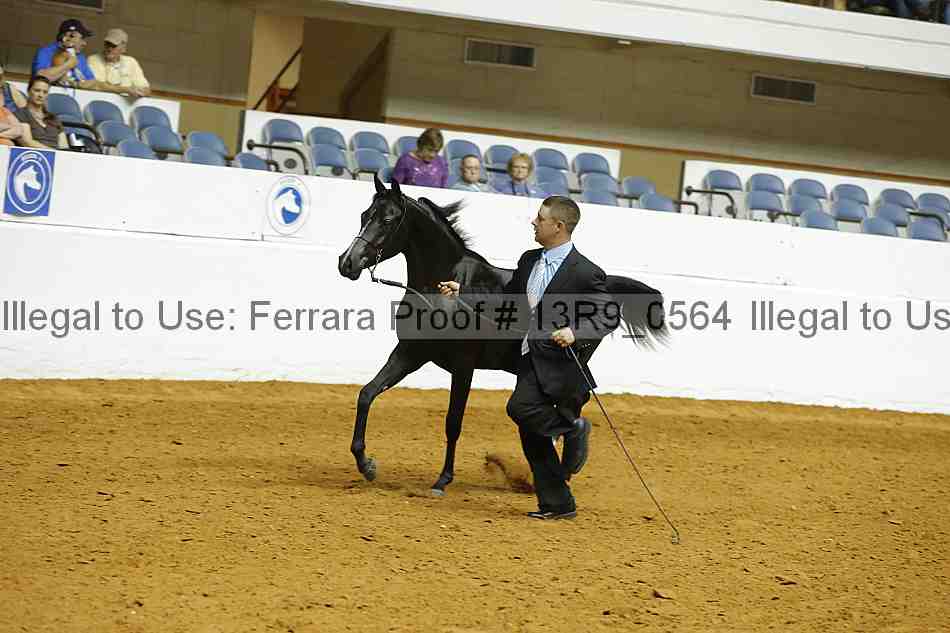 Proof 13r9_0564