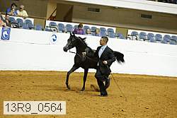 13r9_0564 proof
