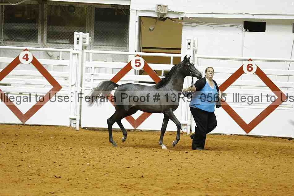 Proof 13r9_0565