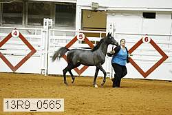 13r9_0565 proof