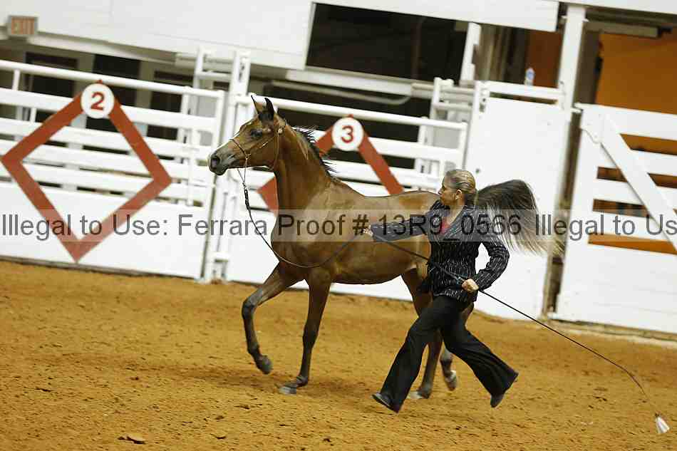 Proof 13r9_0566