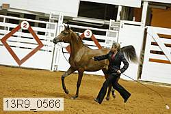 13r9_0566 proof