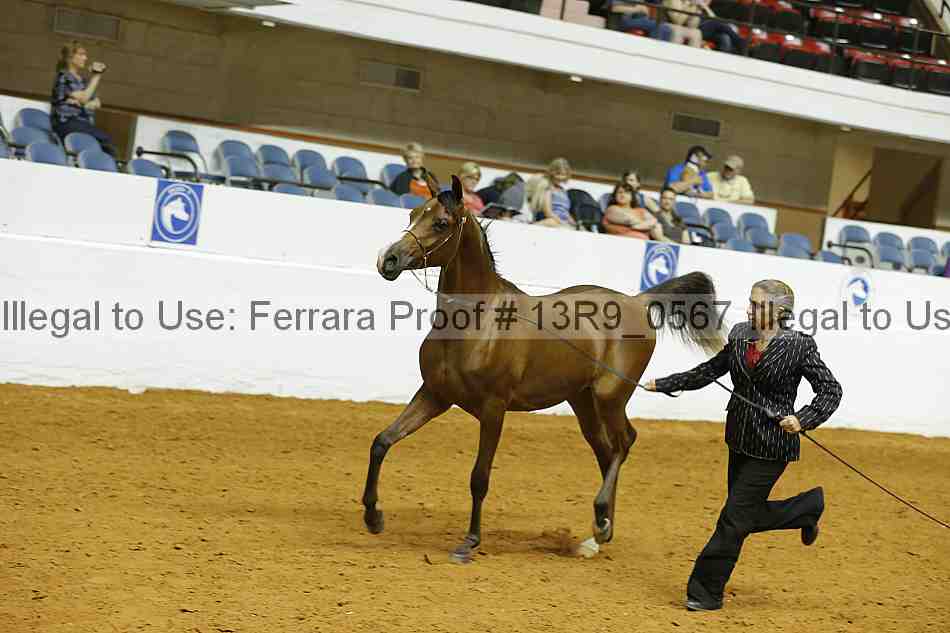 Proof 13r9_0567