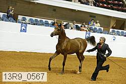 13r9_0567 proof