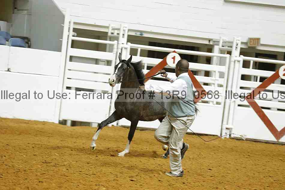 Proof 13r9_0568