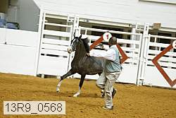 13r9_0568 proof